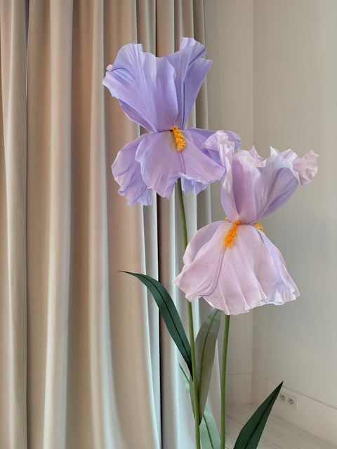 Iiris flower 2-set